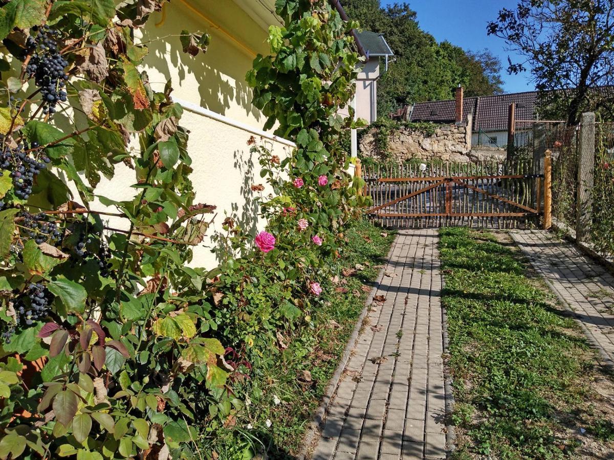 Lately Renovated Country House Trenčín Esterno foto